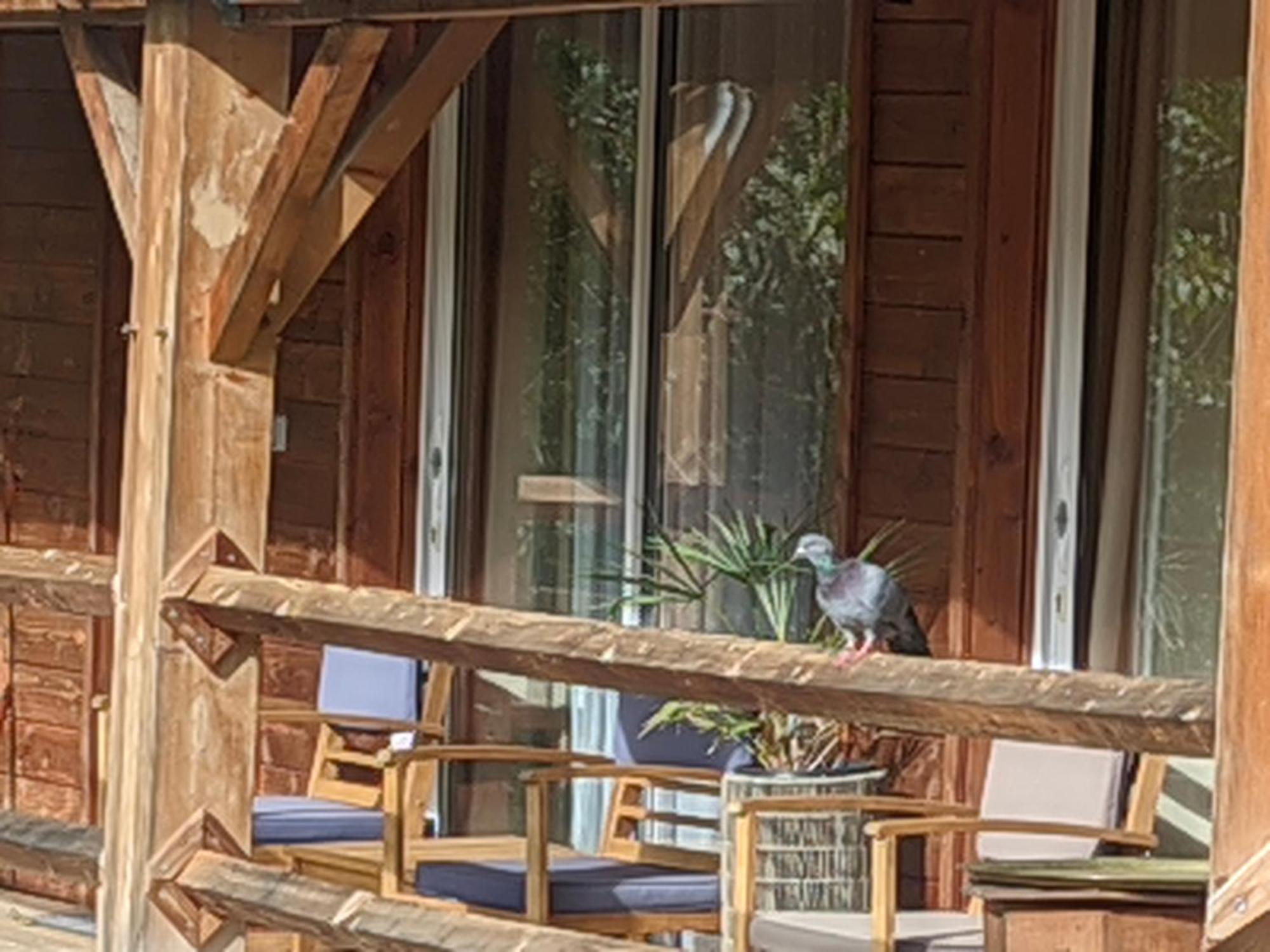 Source Nature Le Mas-d'Azil Room photo